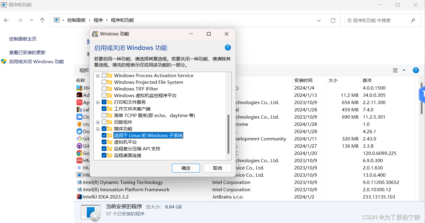 启动或关闭windows 功能