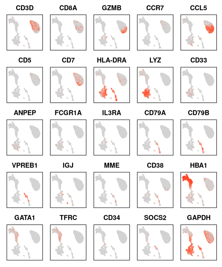 单细胞 | 批量 FeaturePlot 可视化n个基因表达量