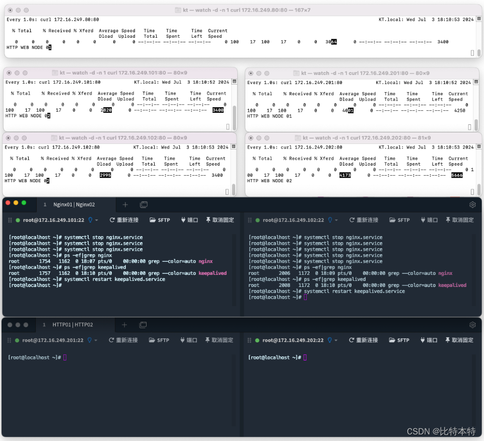 NGINX+KEEPALIVED | 一文搞懂NG+KL负载均衡高可用架构的实操教程（详细）