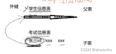 MYSQL笔记：约束条件