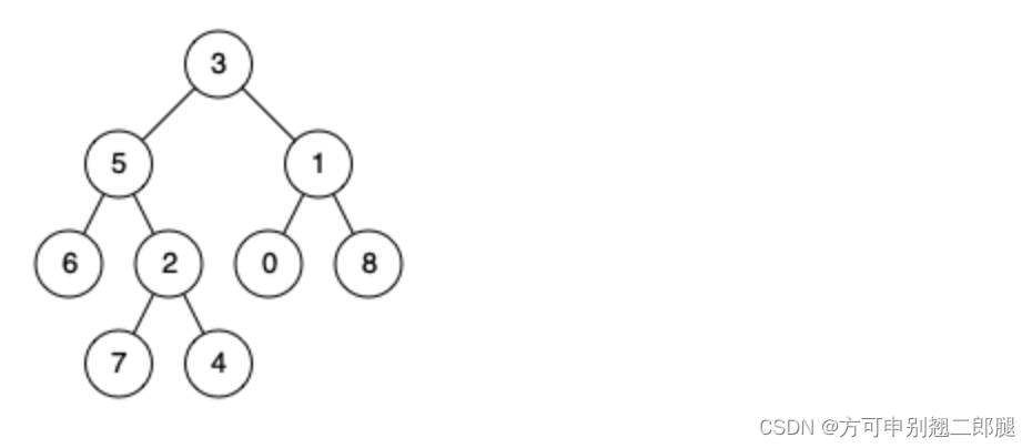 代码随想录二刷 ｜ 二叉树 ｜ 二叉树的最近公共祖先