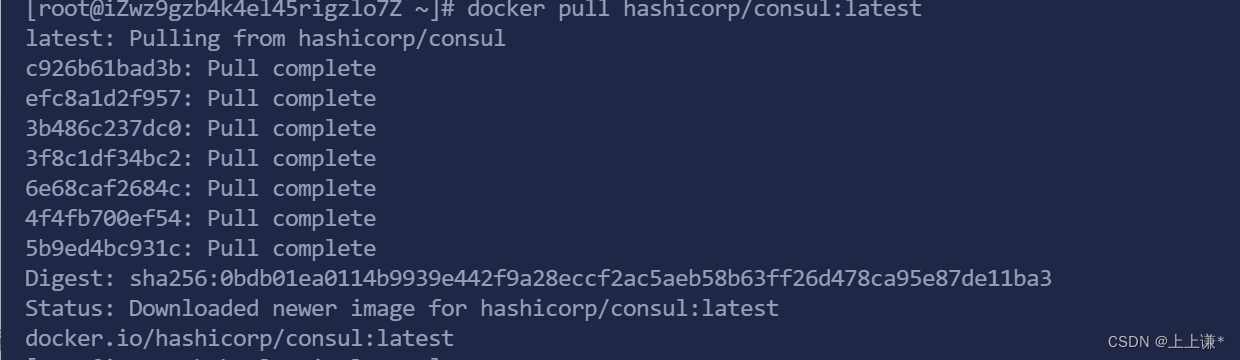 <span style='color:red;'>最</span><span style='color:red;'>新版</span>2023 docker <span style='color:red;'>安装</span>Consul