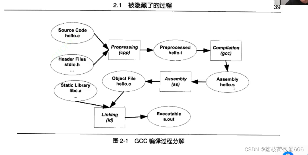 考研C语言复习进阶（6）