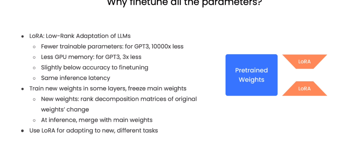 Finetuning Large Language Models: Sharon Zhou