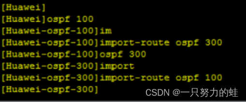 六、OSPF外部路由