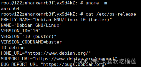 Debian arm系统安装wxPython