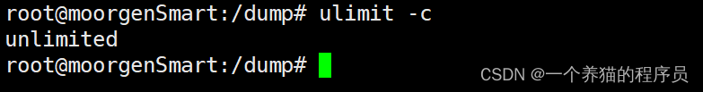 <span style='color:red;'>linux</span> <span style='color:red;'>段</span><span style='color:red;'>错误</span>跟踪-gdb&core dump