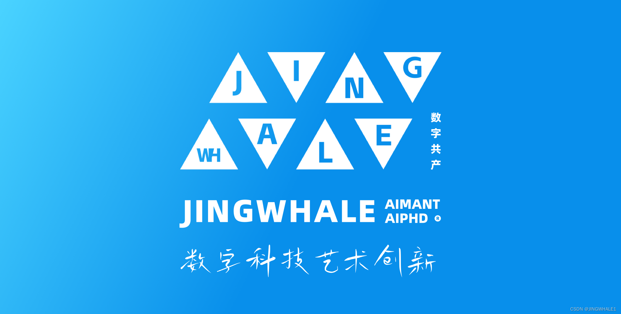 JINGWHALE ABCDE 认证