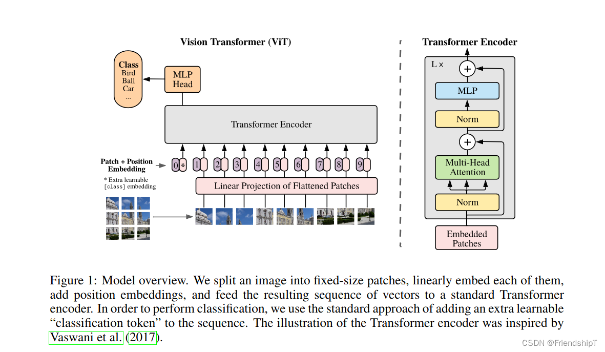 图像分类：Pytorch实现Vision Transformer（ViT）进行图像分类