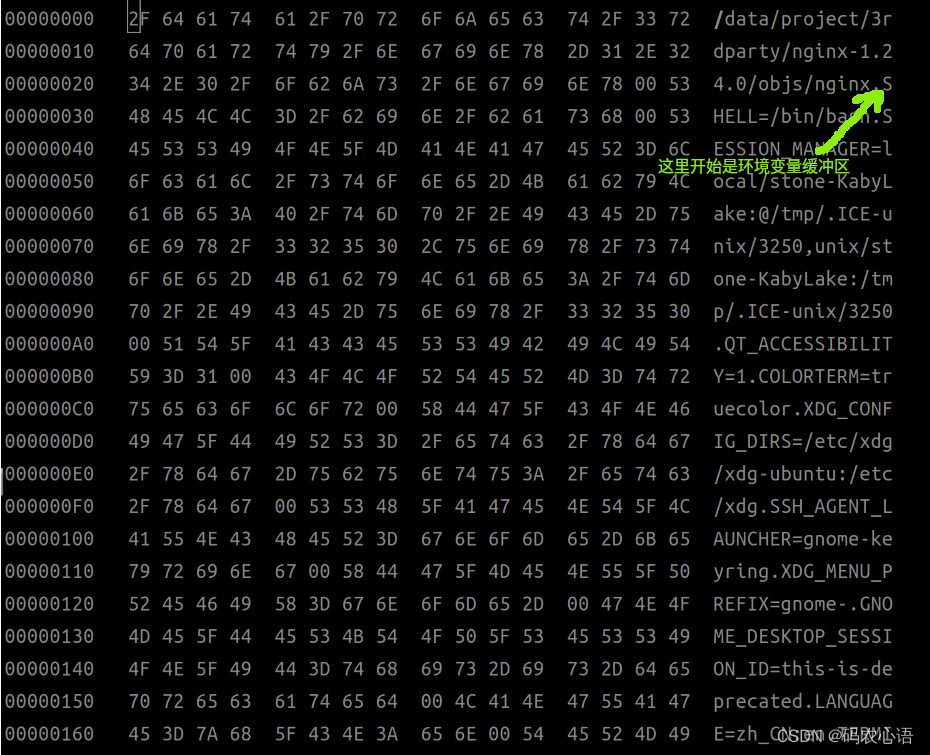 通过nginx学习linux进程名的修改