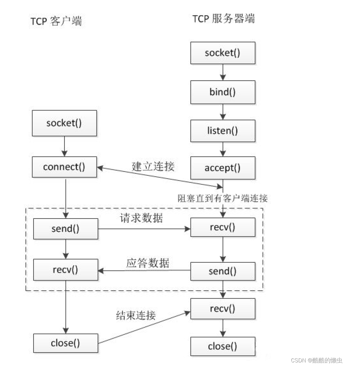 Linux网络编程——socket 通信基础