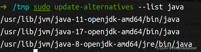 【Ubuntu】update-alternatives 命令详解