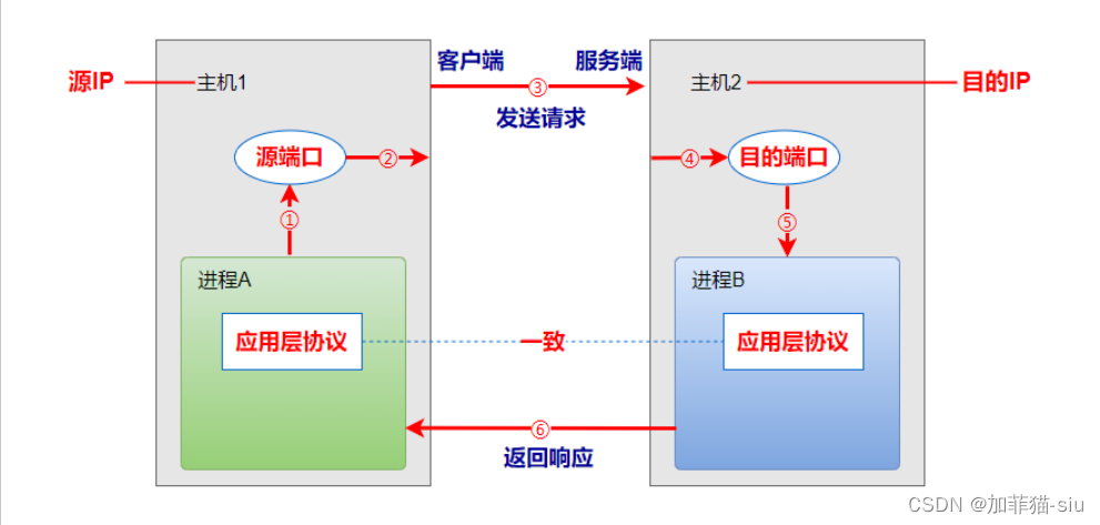 网络编程-Socket套接字