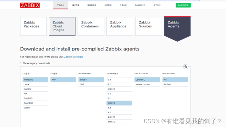 <span style='color:red;'>zabbix</span><span style='color:red;'>监控</span>windows主机