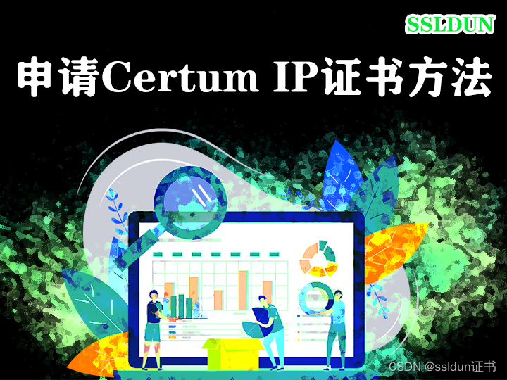 申请Certum IP证书的方法