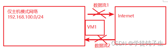 仅主机模式