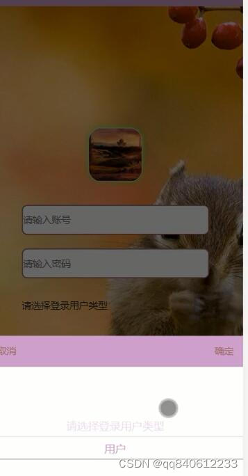 适合小程序的开发工具_开发小工具用什么语言_开发工具推荐