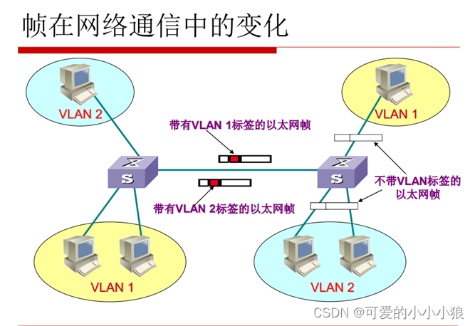 计算机网络 VLAN