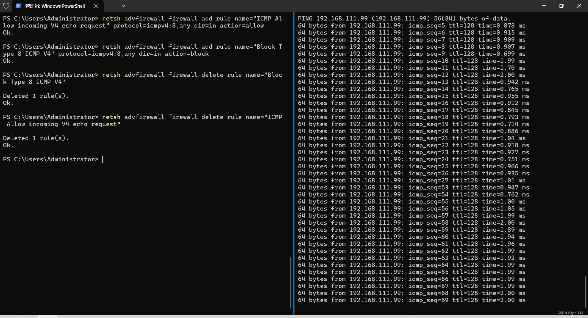 ping 是什么意思?