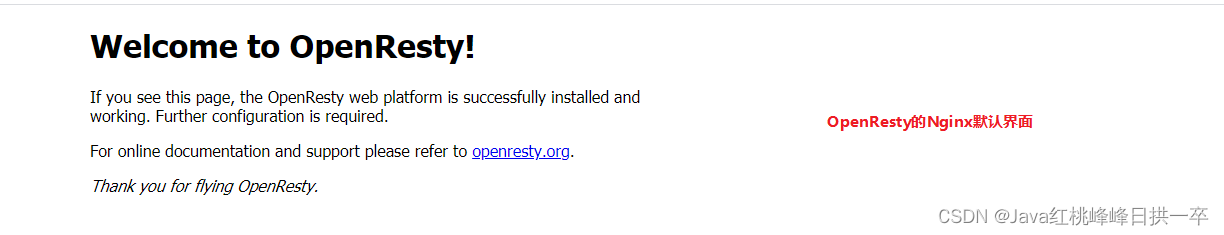 linux 安装OpenRestry
