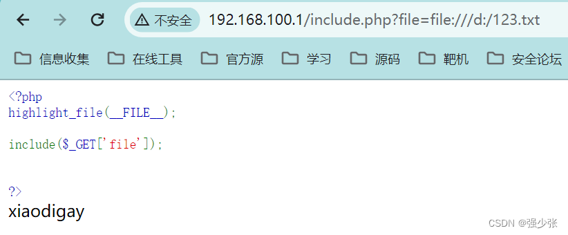 Web文件包含