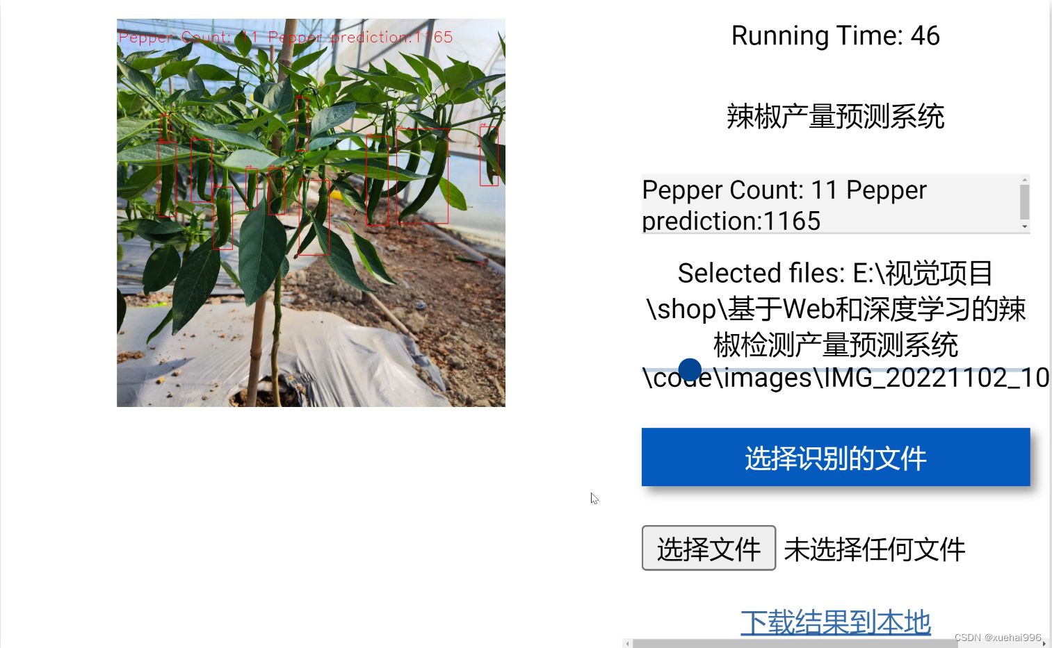 基于Web和深度学习的辣椒检测产量预测系统