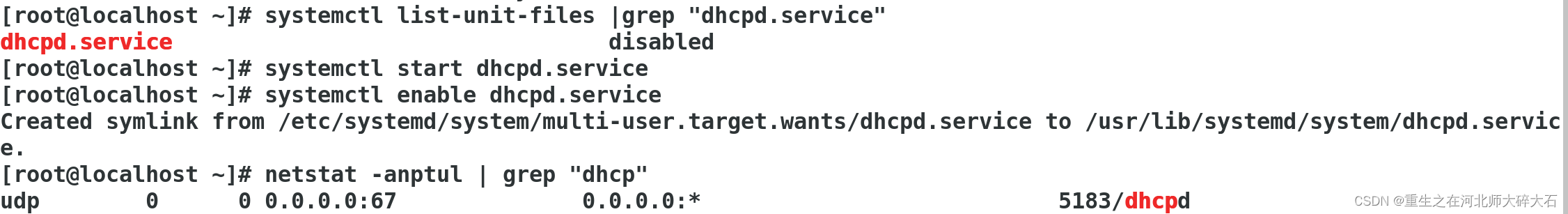 搭建DHCP 服务