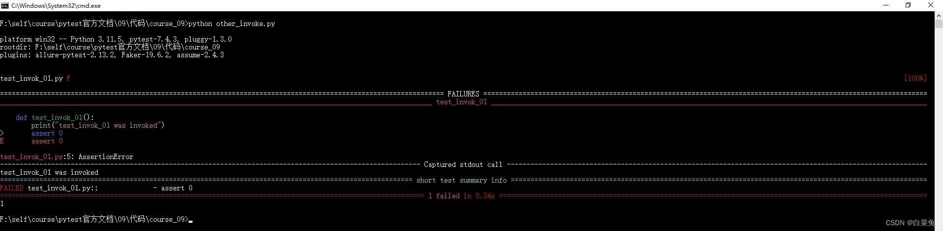 09、pytest多种调用方式