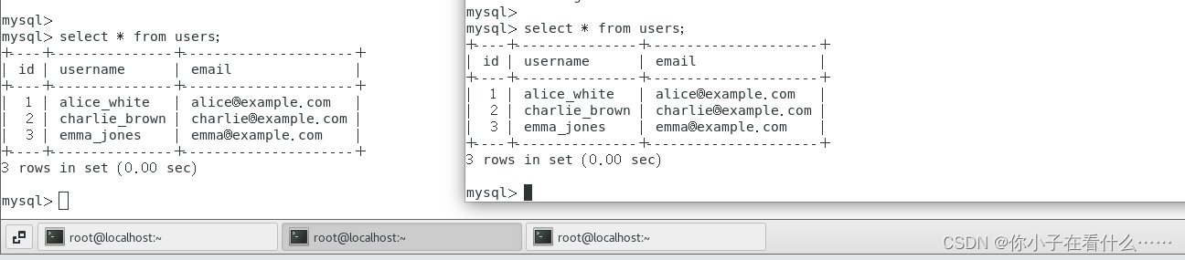 Docker中配置MySql环境