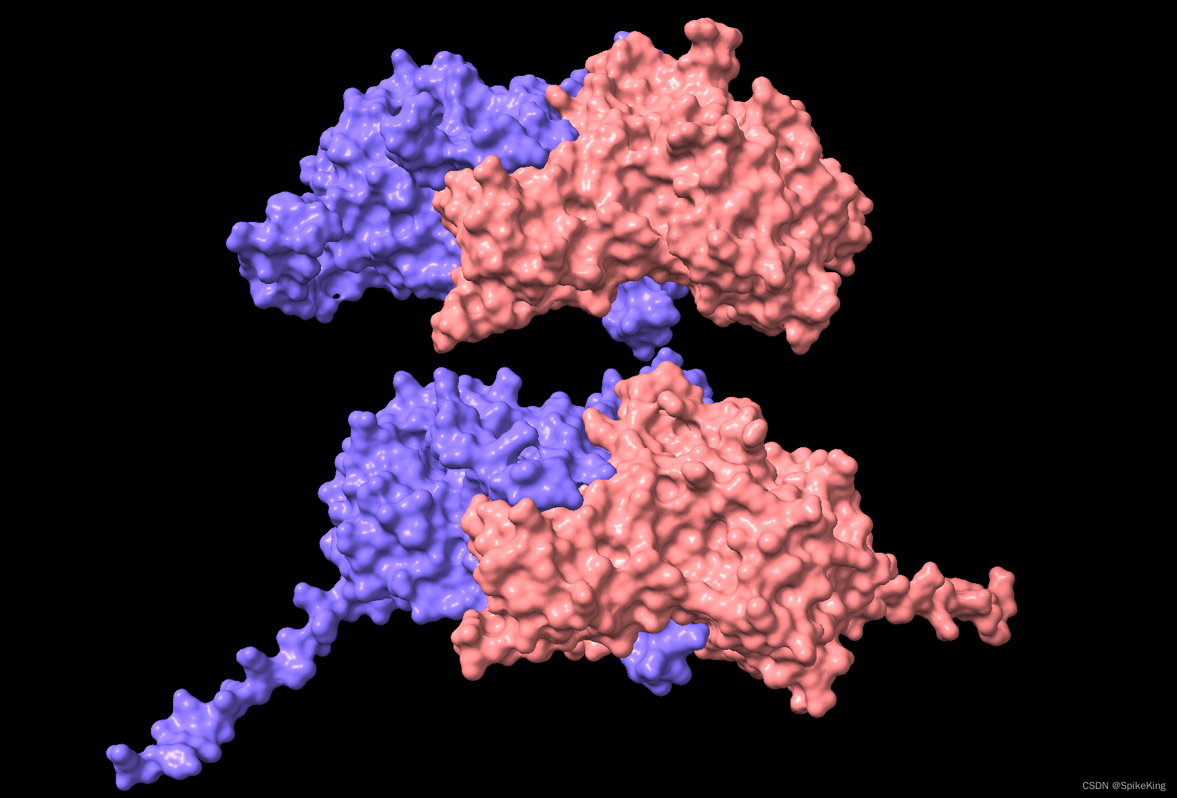 BioTech - 蛋白质结构评估指标的计算方法 (Python 源码) 支持 TMScore\RMSD\DockQ 等