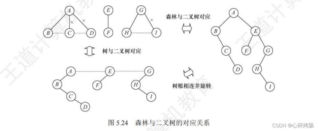 数据结构历年考研真题对应知识点（树、森林）