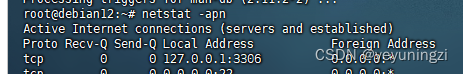 Debian 12 -bash: netstat: command not found 解决办法