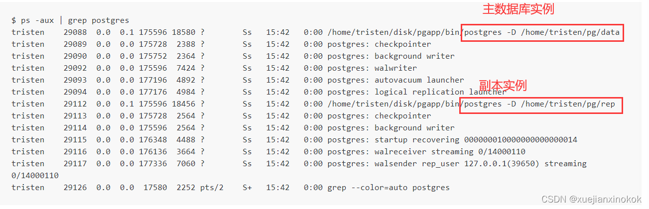 postgresql16 物理复制与逻辑复制的实现和对比