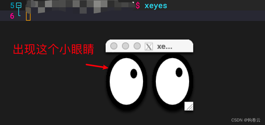 MacOS下使用XQuartz转发Linux服务器图形界面的方法