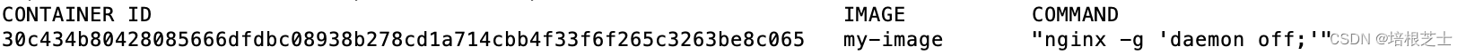 解决docker run报错：Error response from daemon: No command specified.