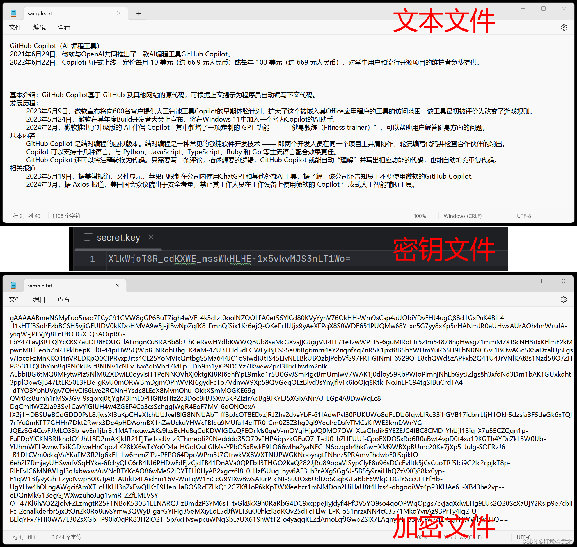 【txt文本<span style='color:red;'>加密</span>】<span style='color:red;'>使用</span> cryptography 库实现<span style='color:red;'>加密</span><span style='color:red;'>和</span><span style='color:red;'>解密</span>