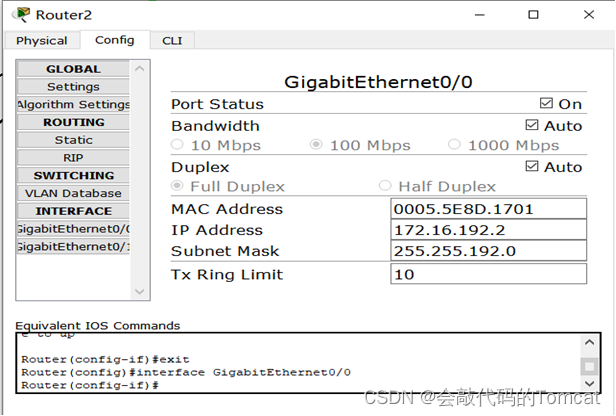 计算机网络综合组网实验