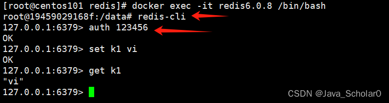 Docker(九)-Docker运行redis6.0.8容器实例