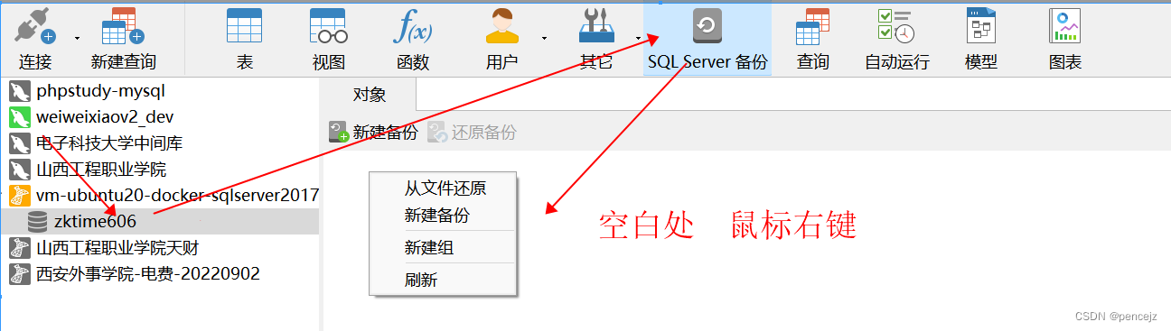 docker安装最新版SQL Server并还原备份的数据库