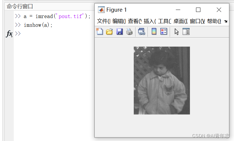 【数字图像处理matlab系列】使用数组索引进行简单的图像裁剪、二次取样操作