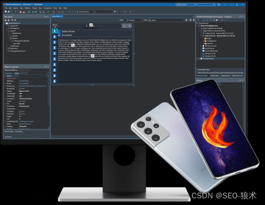 Delphi Professional single-source multi-platform native