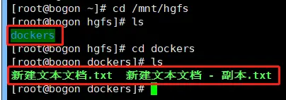 Docker搭建LNMP环境实战（04）：安装VMwareTools共享文件夹