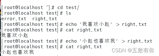 Linux<span style='color:red;'>的</span><span style='color:red;'>重</span><span style='color:red;'>定向</span>