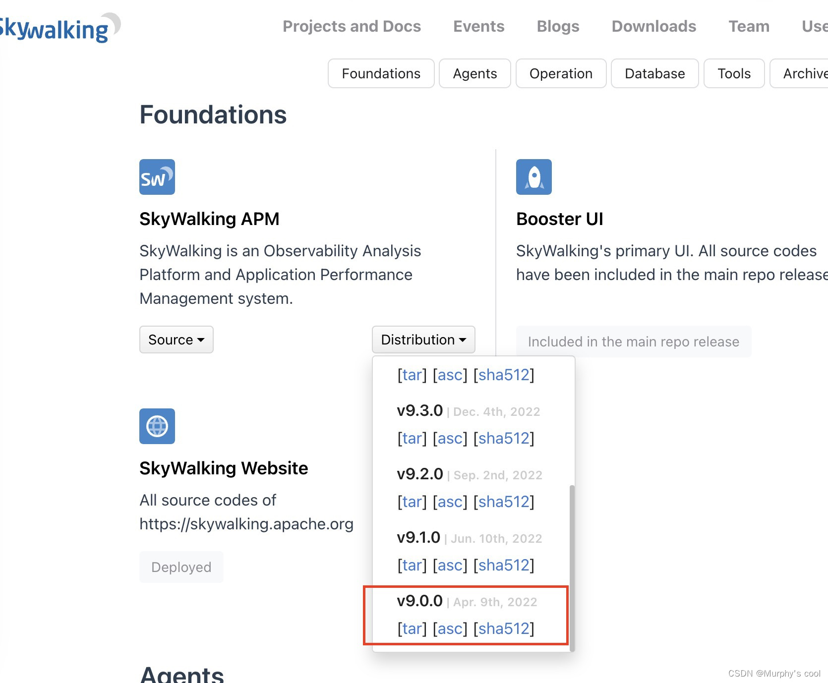 SpringBoot（48）-使用 SkyWalking 进行分布式链路追踪