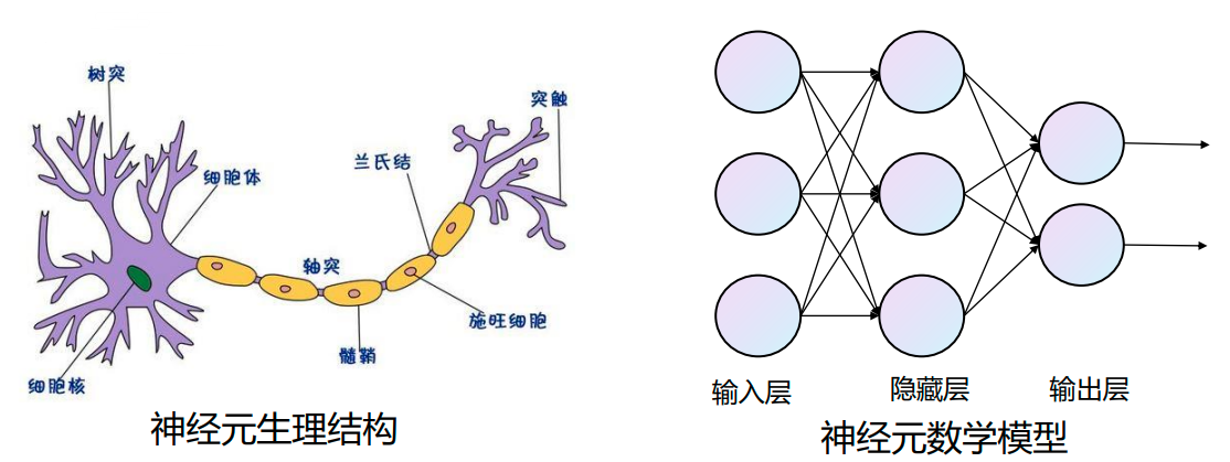 【机器学习笔记】10 人工神经网络