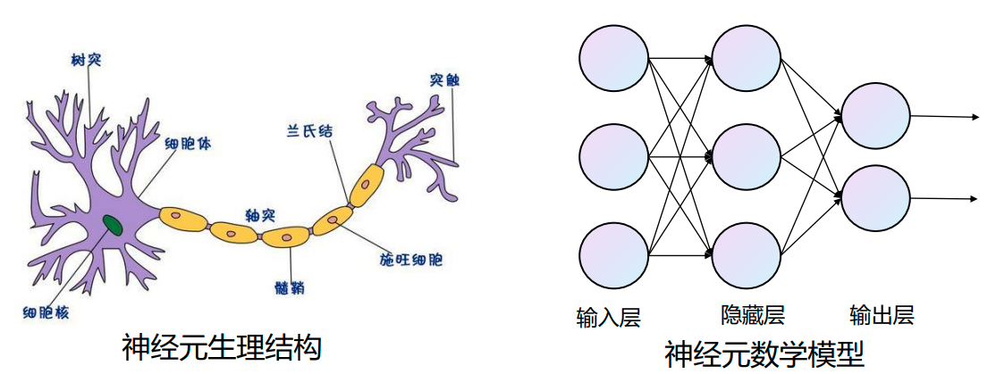 【<span style='color:red;'>机器</span><span style='color:red;'>学习</span>笔记】<span style='color:red;'>10</span> 人工<span style='color:red;'>神经</span><span style='color:red;'>网络</span>