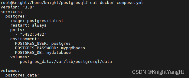 【PostgreSQL】技术传承：使用Docker快速部署PostgreSQL数据库