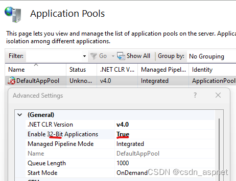 .NET 8.0 发布到 IIS