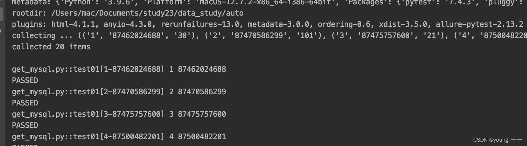 pytest参数化数据驱动(数据库/execl/yaml)