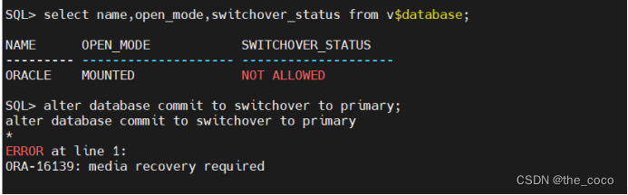 Oracle 19cADG集群补丁升级